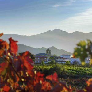 Terroir ZINIO BODEGAS en La Rioja. Vino de bodega D.O.