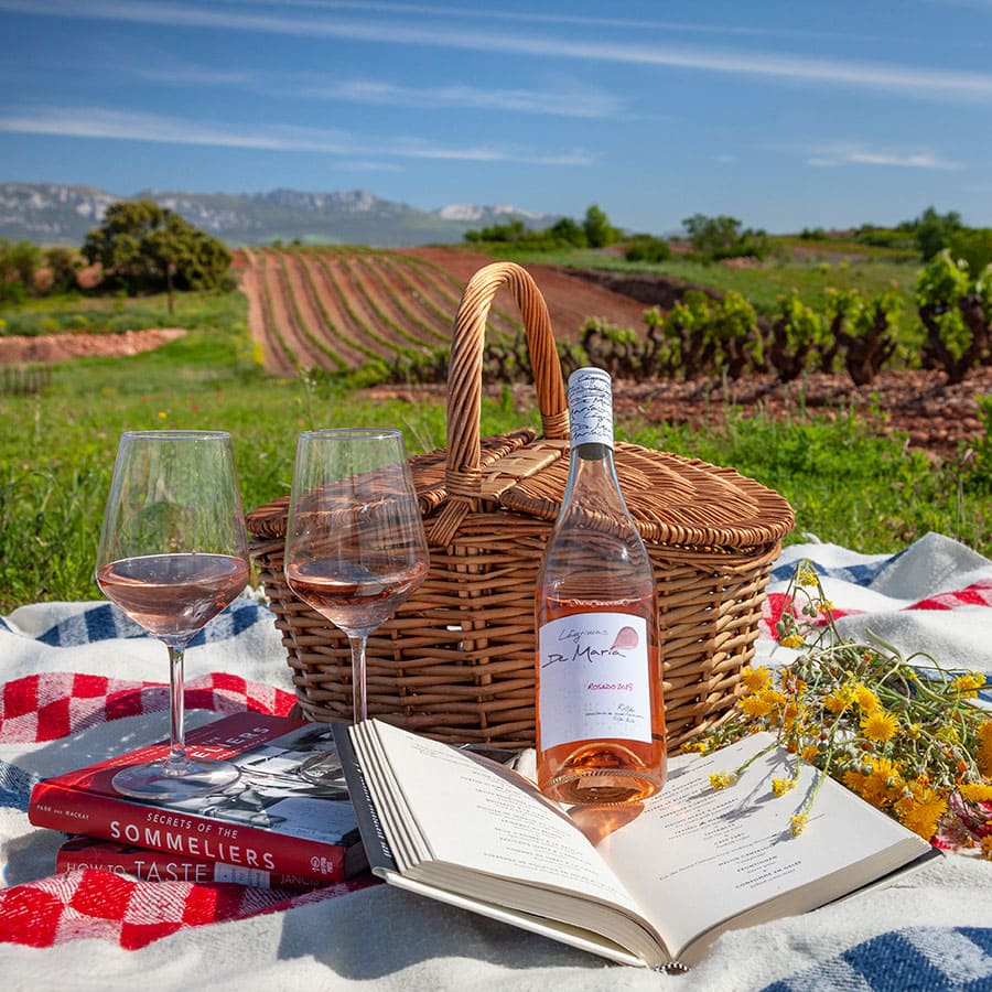 Enoturismo en Rioja, planes y experiencias divertidas para hacer. ¿Te apatece un picnic con cata de vinos en nuestros viñedos? Te lo preparemos.