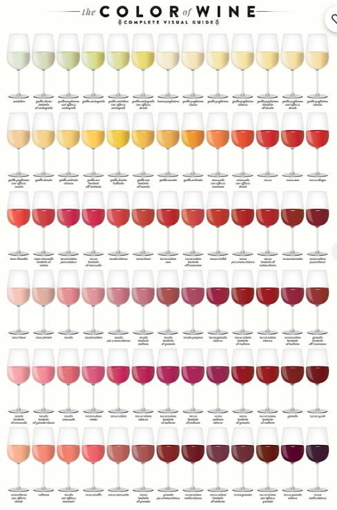 Redbubble colores vino