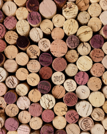 5 Tipos de Descorchadores de Vino que Debes Conocer Antes de Elegir el Tuyo
