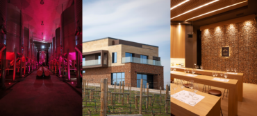 Wine as a Meeting Point: Wine Fairs 2026