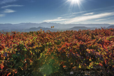 Autumn in La Rioja: a sensory journey through vineyards and dreamlike landscapes